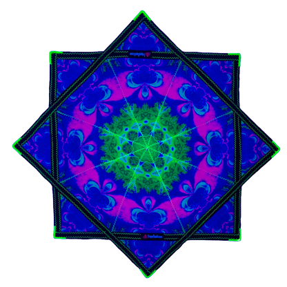 023 - Plasma Daisy - Trippy Wearz Collab Flowstar (UV-Reactive) 26"